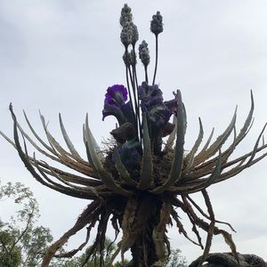 Meet your Posher, Holly